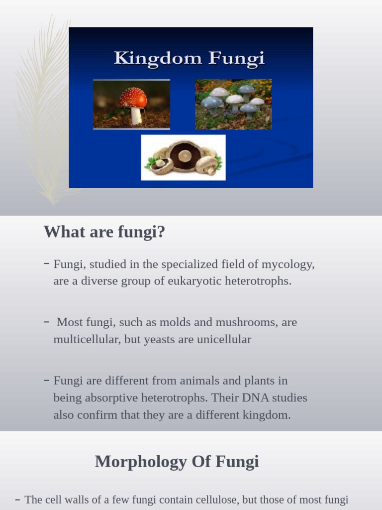 Understanding Fungi: Types and Functions | PDF | Fungus | Sexual ...
