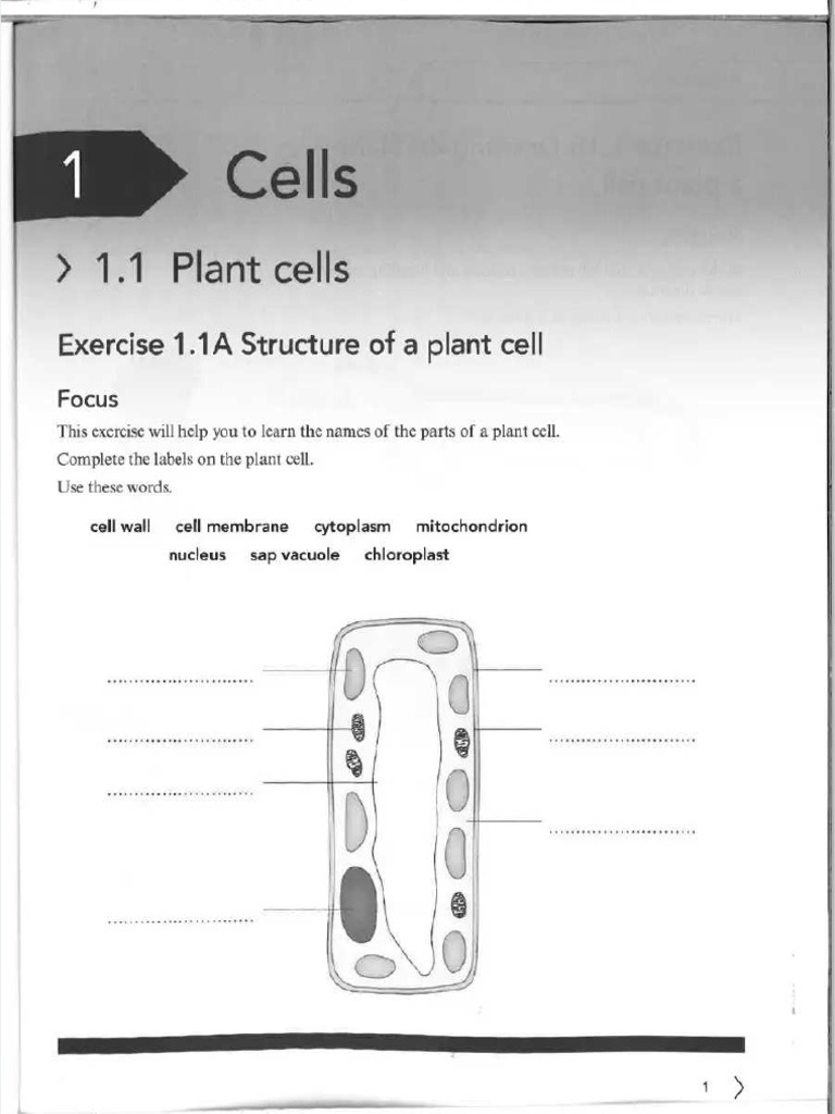 PDF Science Workbook 7 Compress Extracted | PDF