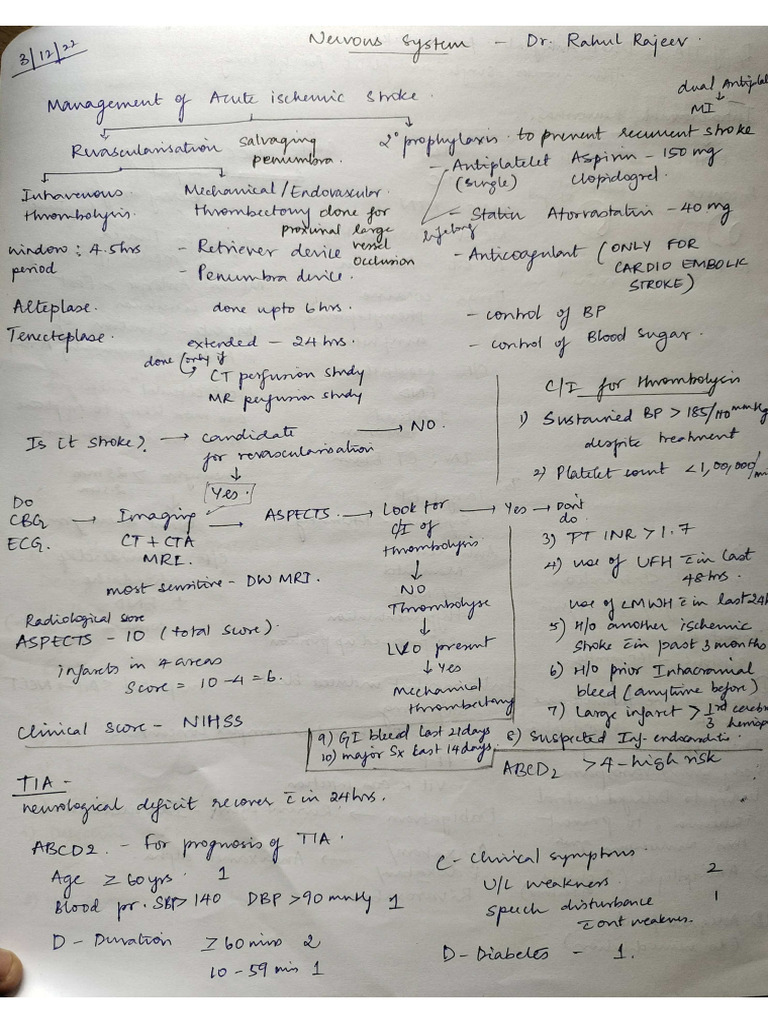 Cns | PDF