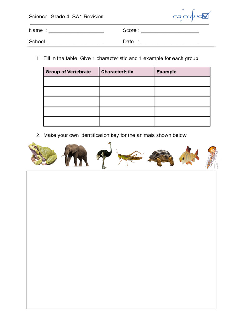 Science P4 SA1 Revision | PDF | Volcano | Earth
