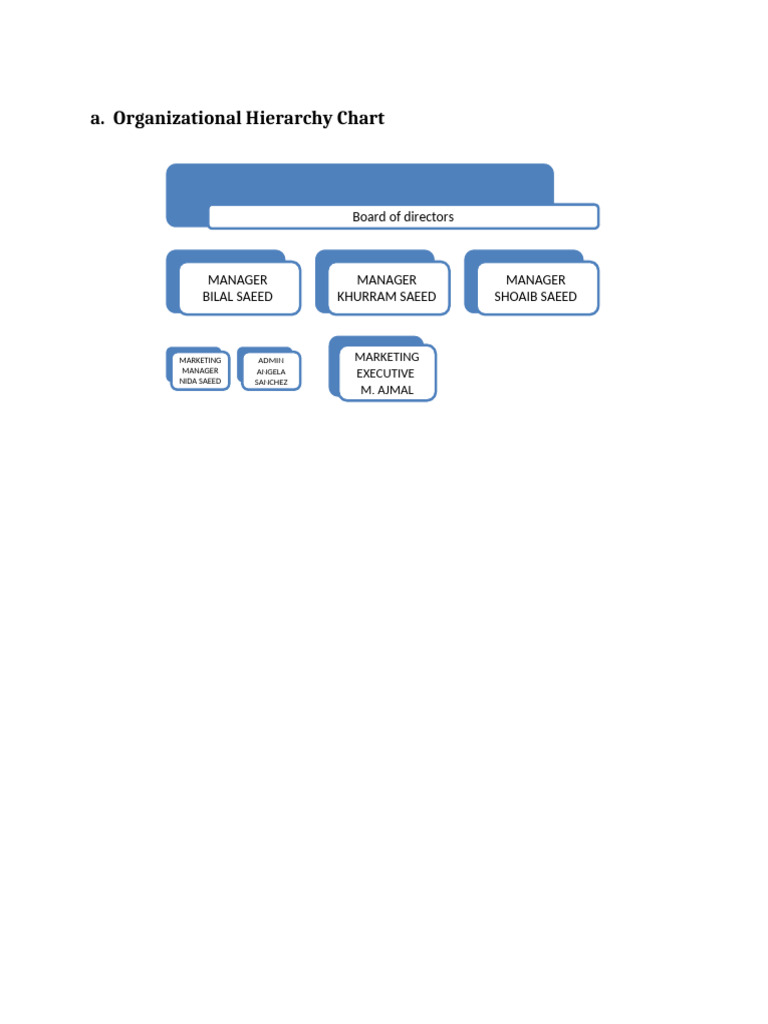 Organizational Hierarchy Chart | PDF