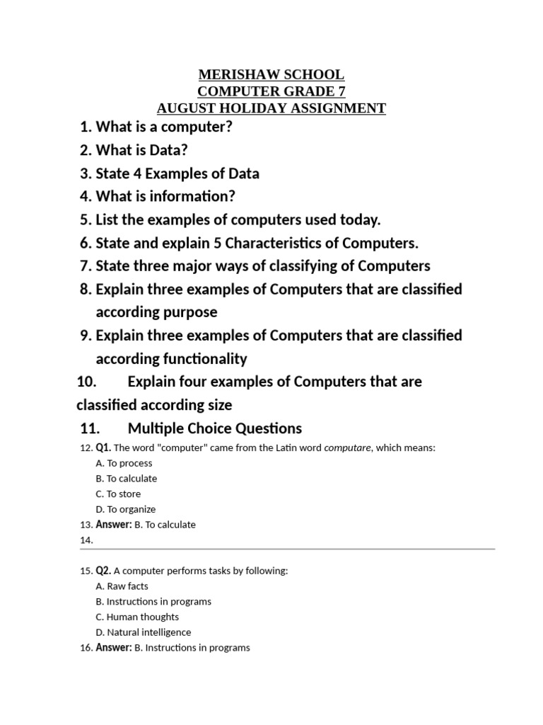 Grade 7 Computer Holiday Assignment | PDF | Data | Computing