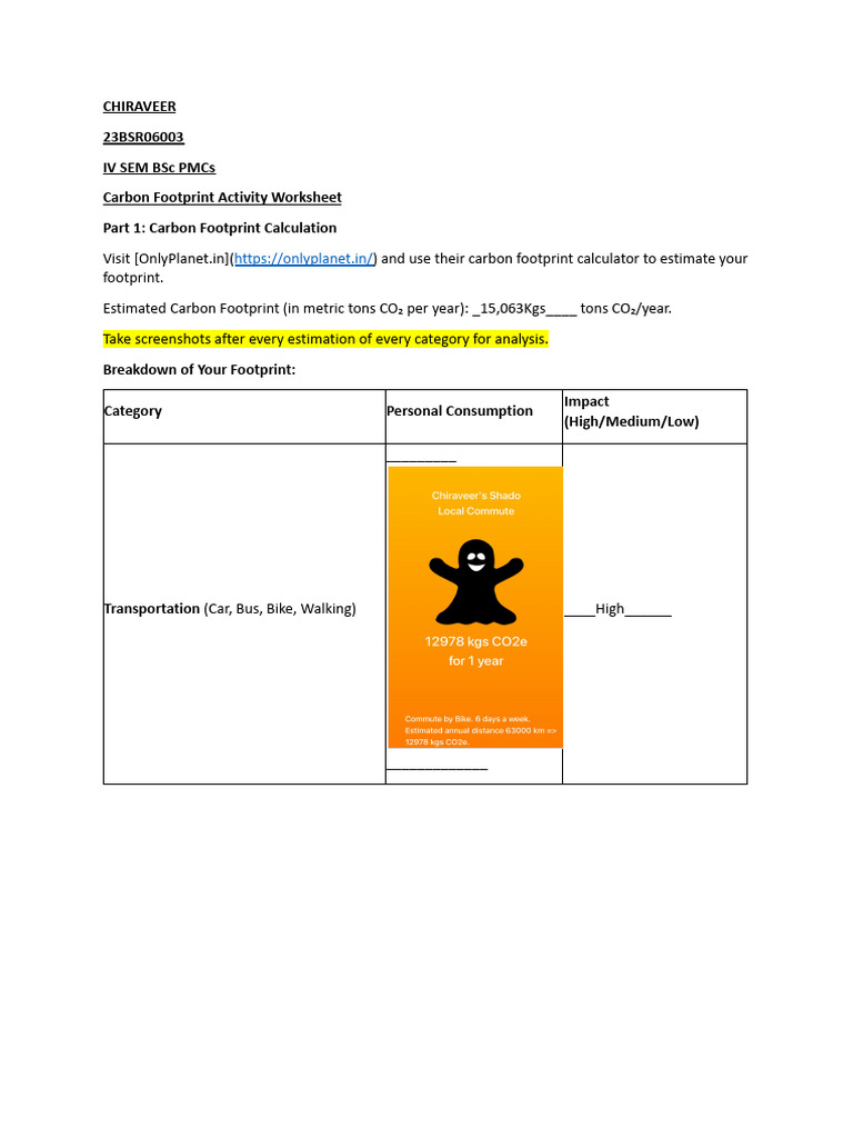 Carbon Footprint Analysis & Reduction Plan | PDF | Carbon Footprint ...