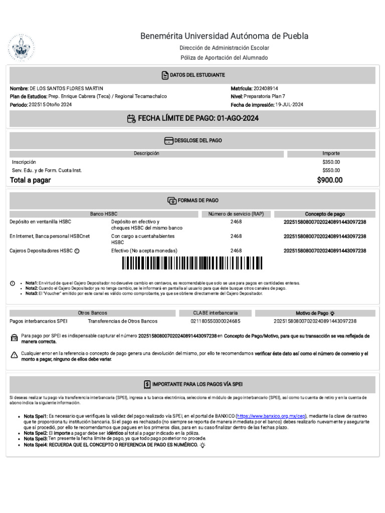 Ficha de Pago Nuevo Ingreso | PDF | Bancos | Servicios financieros