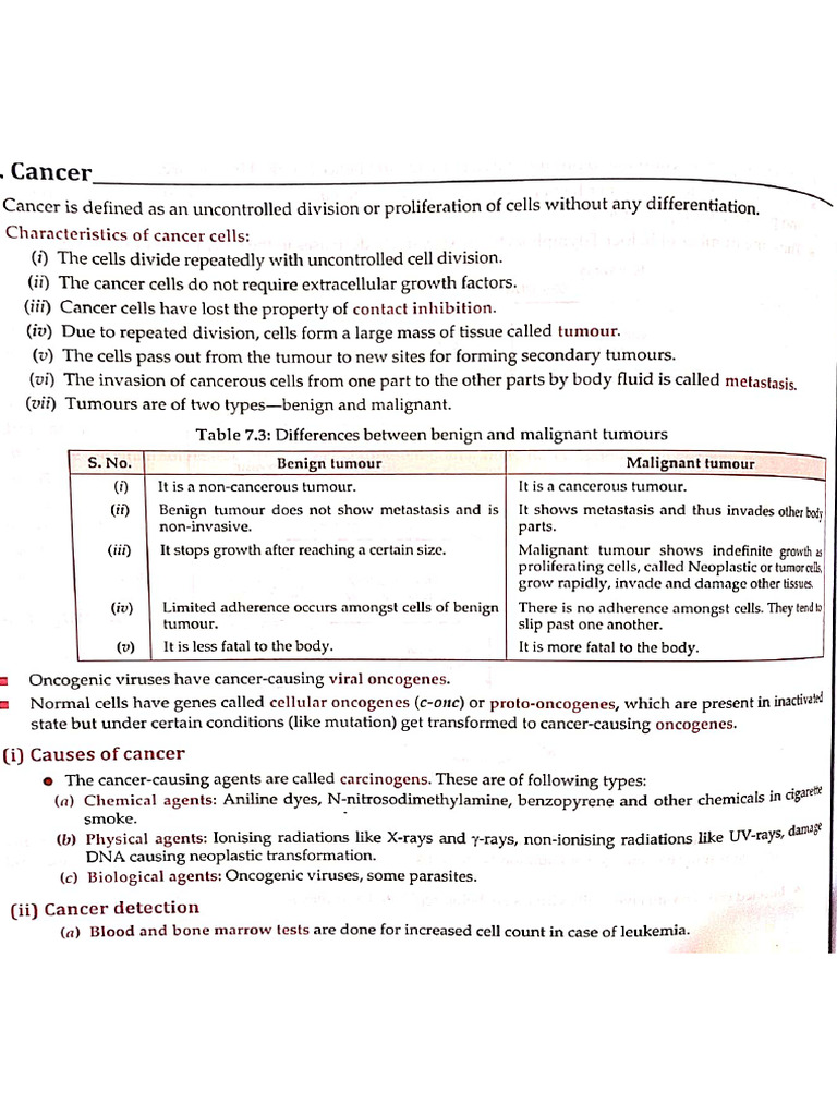 Cancer Notes | PDF