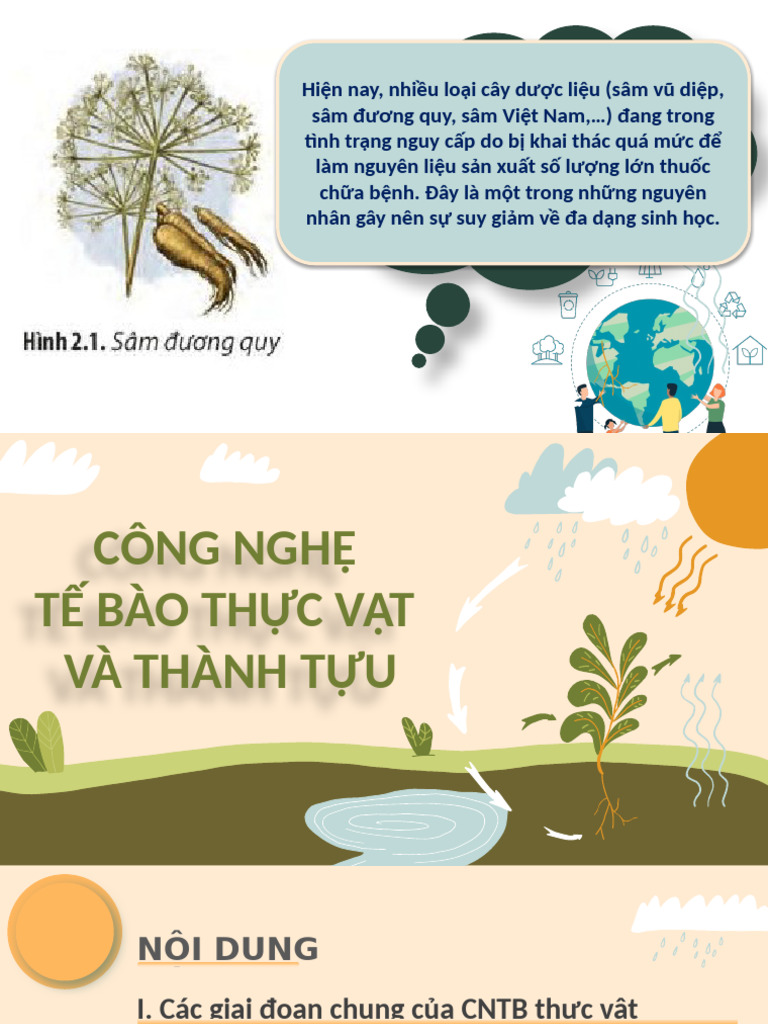 KHBD SCD SH10 Bai 2 | PDF