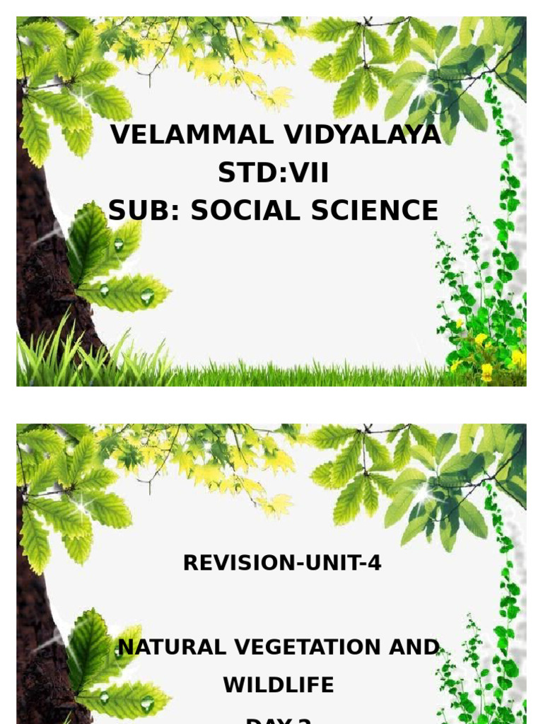 Natural Vegetation and Wildlife Overview | PDF | Forests | Tropics