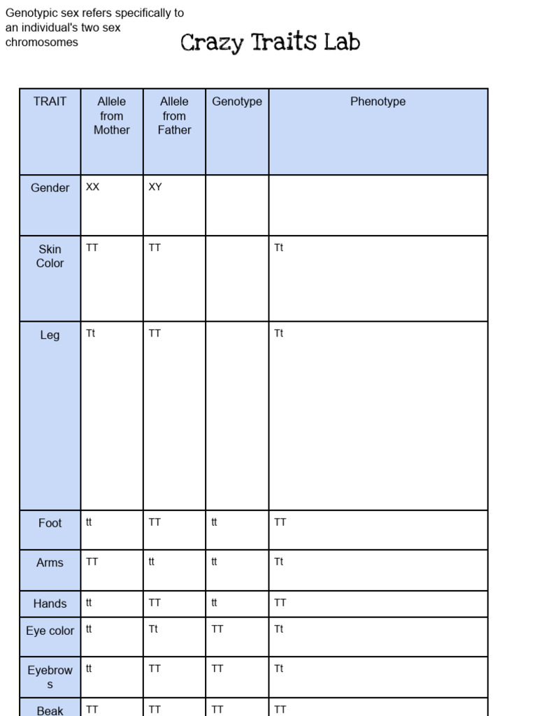 Crazy Traits Lab 1 | PDF
