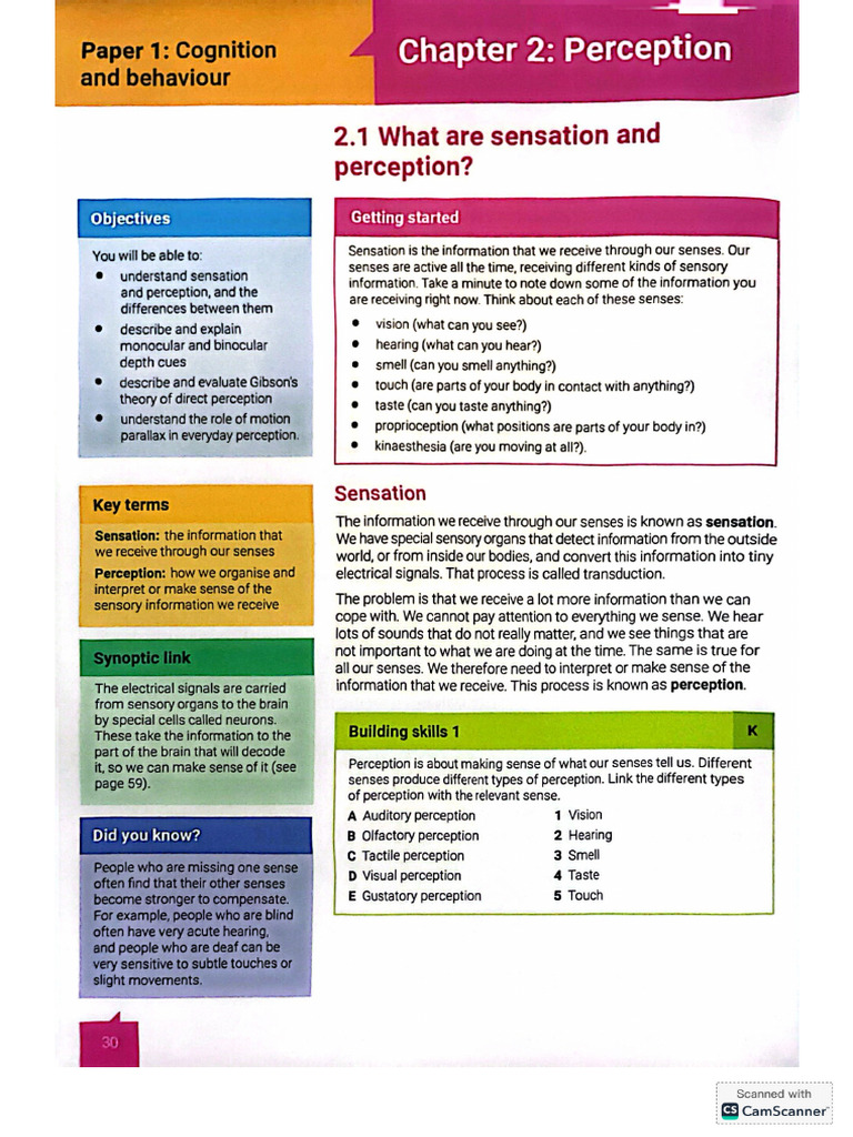 Perception | PDF