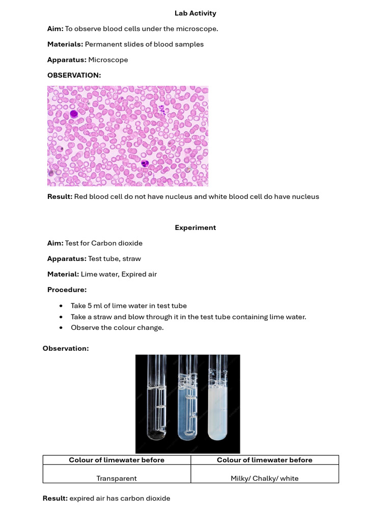 G7 Lab Activity Unit 1 | PDF