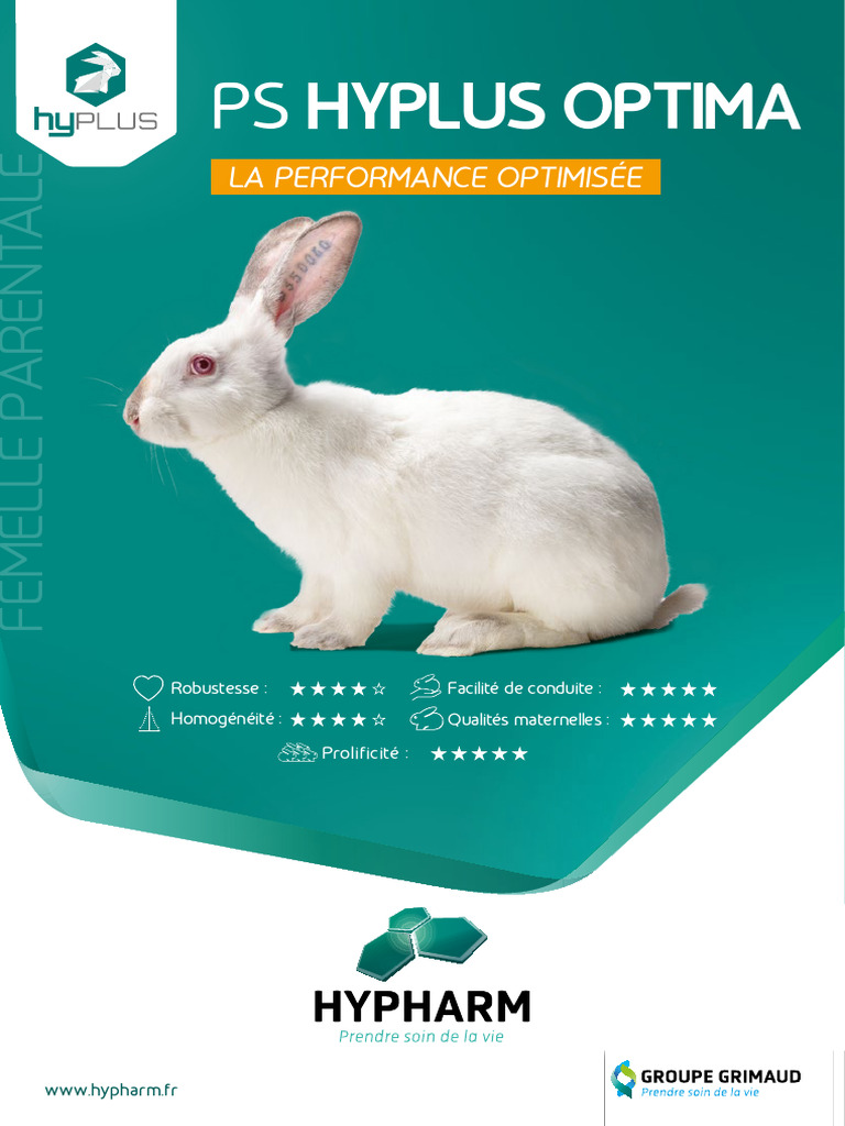 Femelle Parentale PS Hyplus Optima | PDF | Bétail
