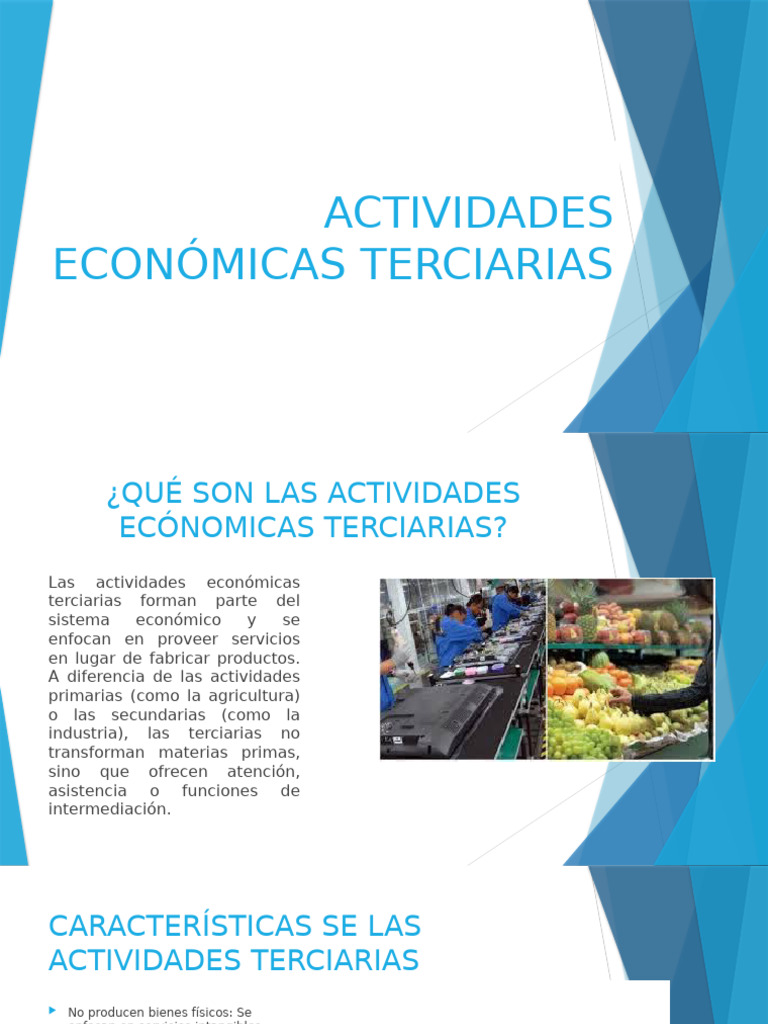 Actividades Económicas Terciarias | PDF | Cuidado de la salud | Economias