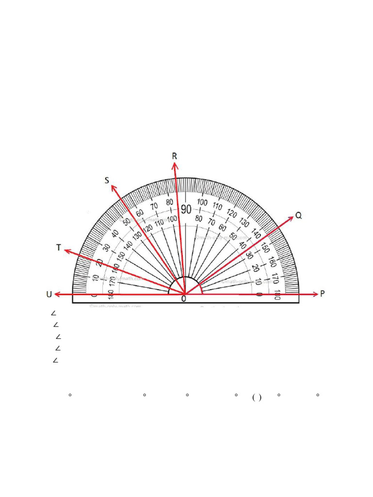 Measuring and Drawing Angles Using Protractor Assignment | PDF