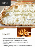 Produção de Leveduras Para Panificação