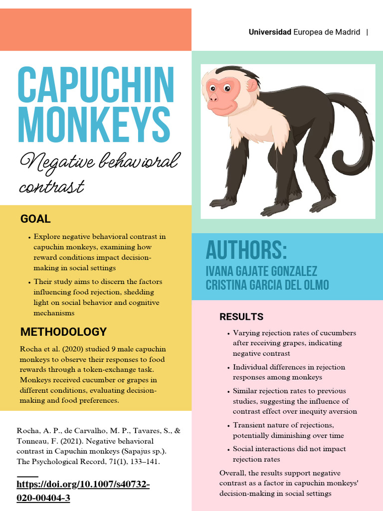 Poster Capuchine Monkeys | PDF