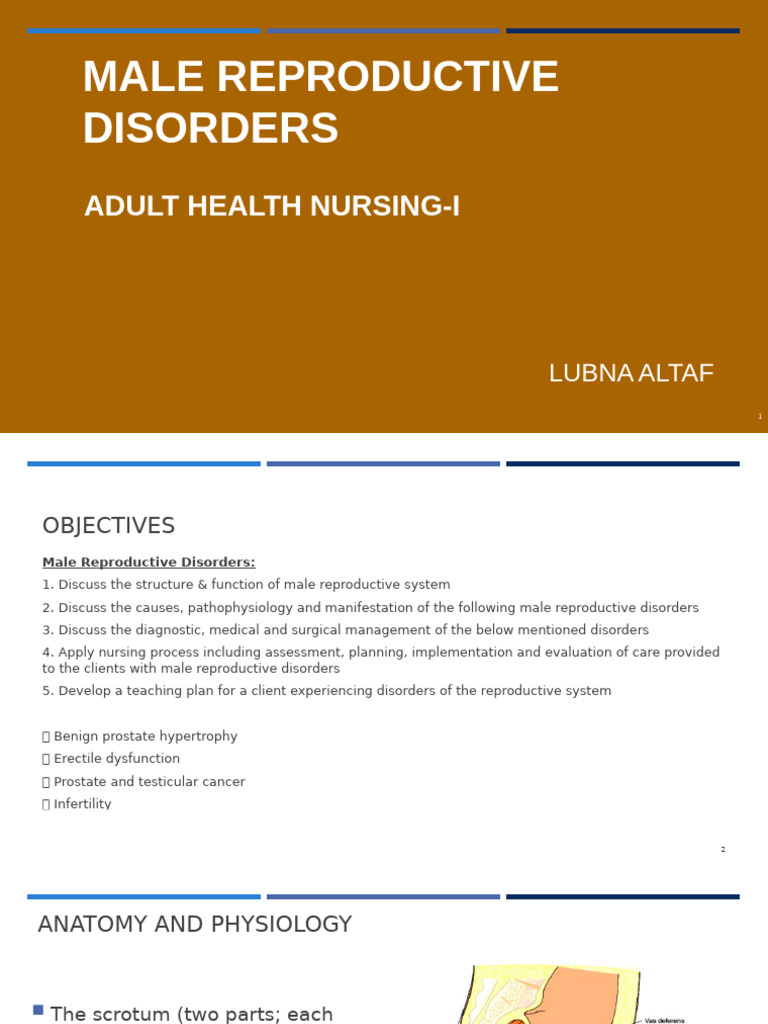 Male Reproductive Disorders Overview | PDF | Prostate | Prostate Cancer