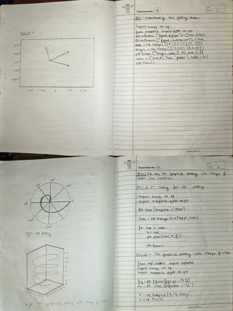 Experiment Documentation Template | PDF