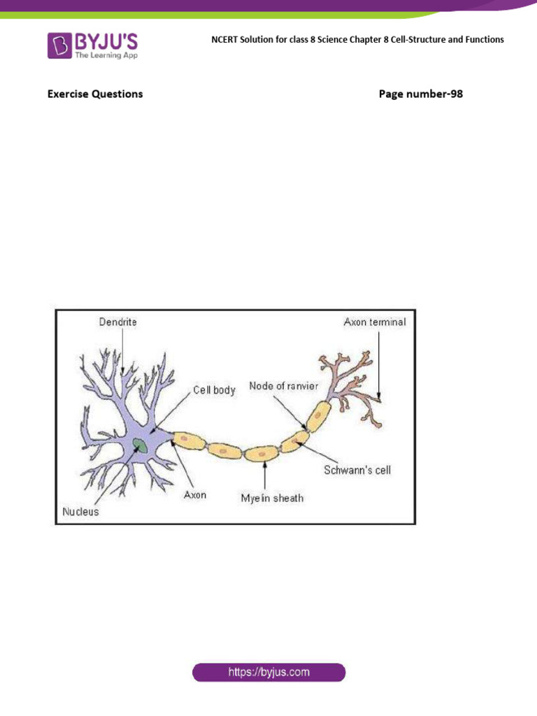 NCERT Class 8 Science Chapter 8 Solutions | PDF | Cell (Biology) | Cell ...
