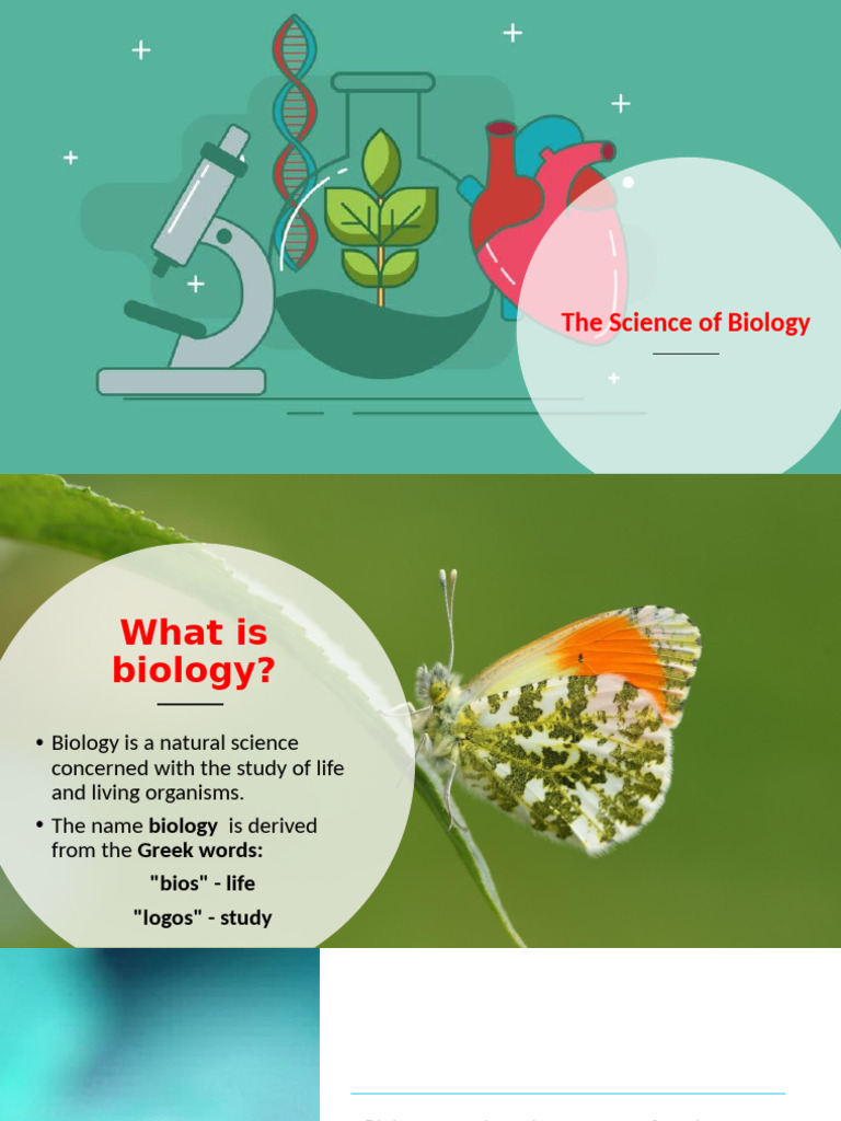 2branches of Biology, Basic and Applied Science | PDF | Zoology | Biology