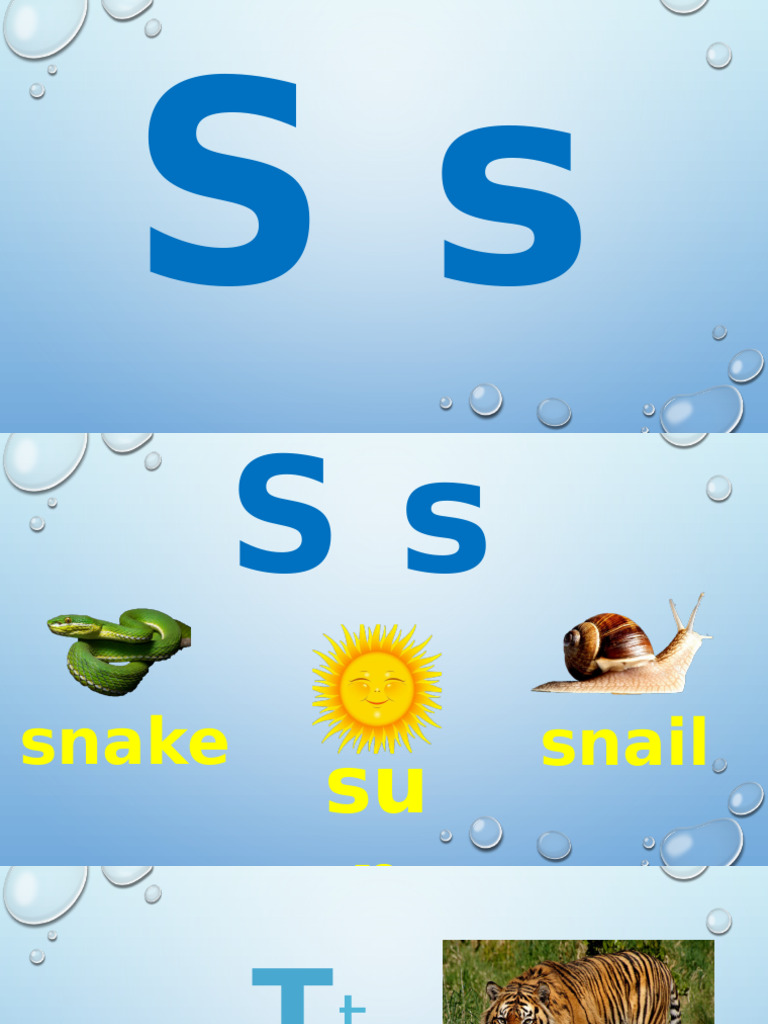 Letter S | PDF