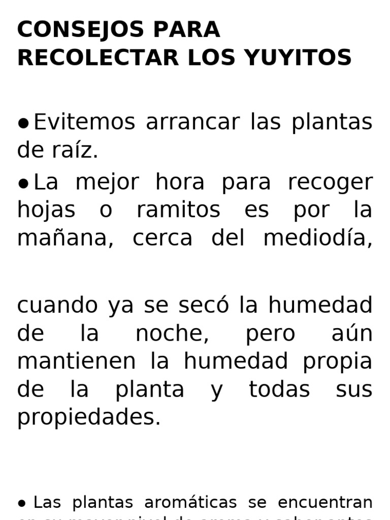 Consejos para Recolectar Los Yuyitos | PDF