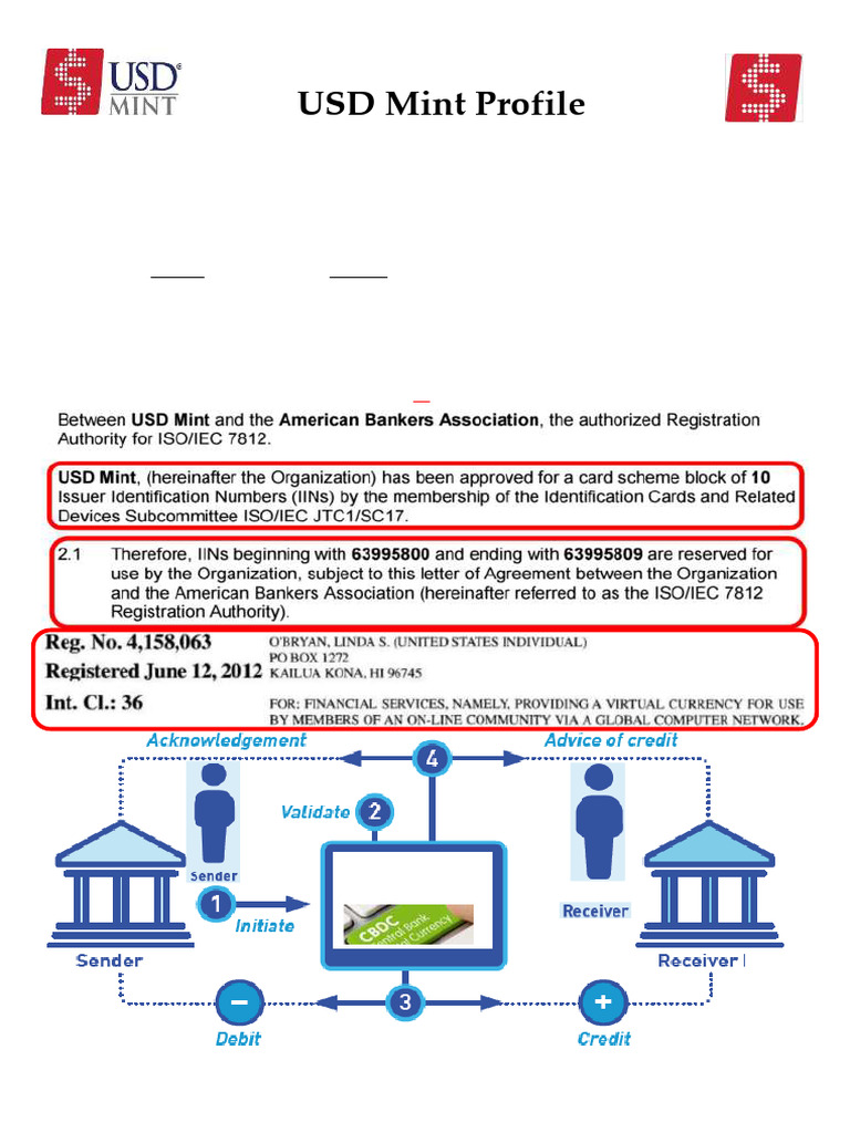 USD Mint Profile 2024 Jan 10 | PDF | Banks | Money