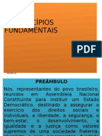 SLIDE_PRINCÍPIOS FUNDAMENTAIS_atualizado (1)