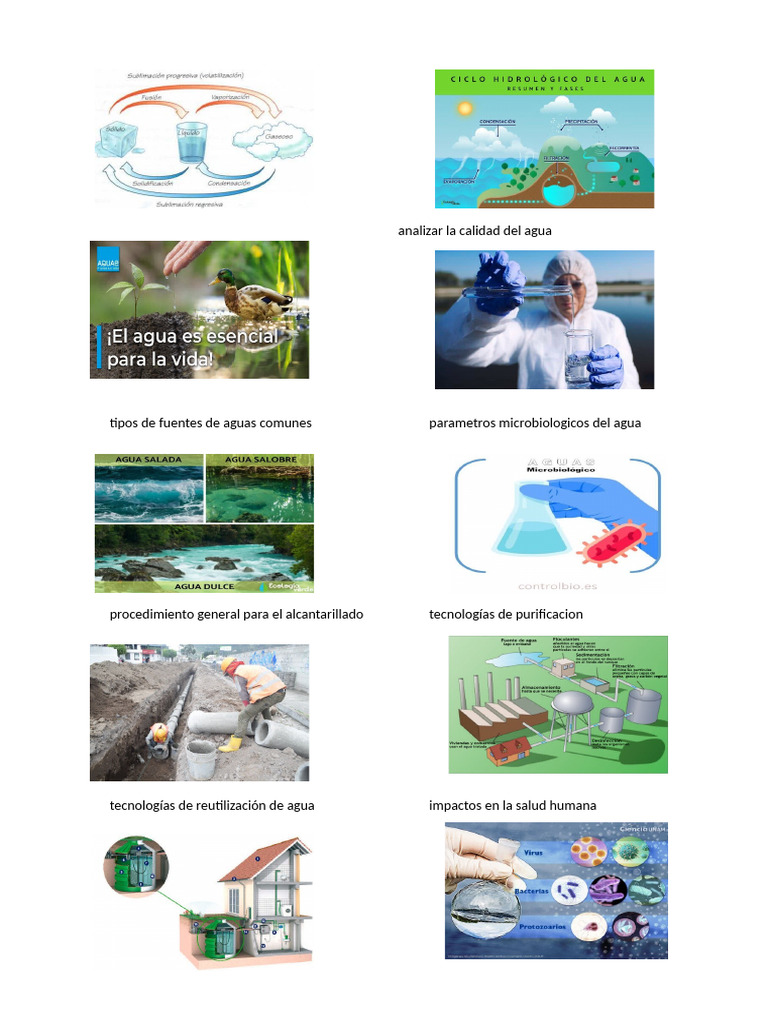 Analizar La Calidad Del Agua | PDF