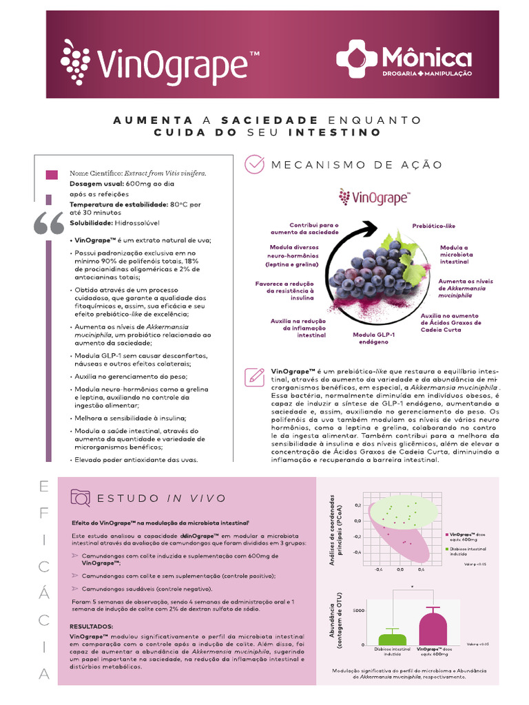 Vino Grape | PDF