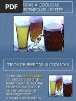 Bebidasalcolicas-conhecendo Os Limites