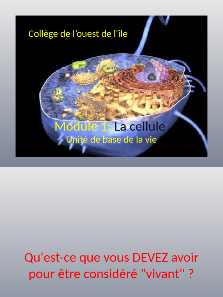 Comprendre la cellule et son organisation | PDF | Cellule (Biologie ...