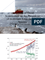 The Effects of Ocean Acidification on the Physiology of Dominant Antarctic Algal Species