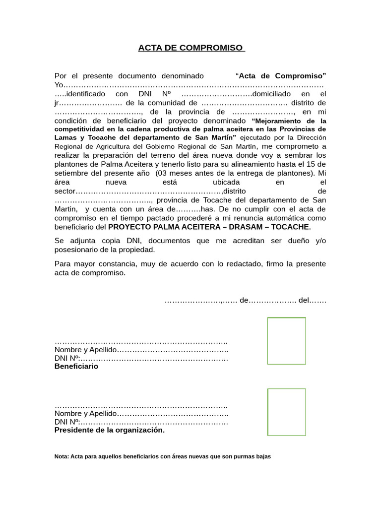 Acta de Compromiso Proyecto Palma - Final | PDF