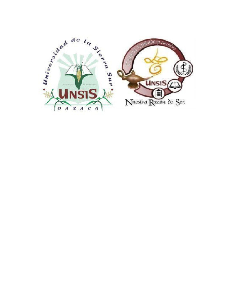 Logos Unsis | PDF