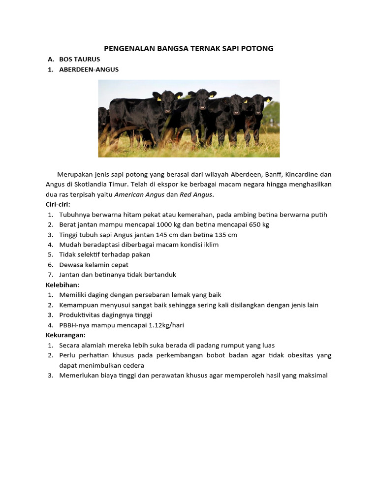Harga Sapi Belgian Blue Terbaru | PDF