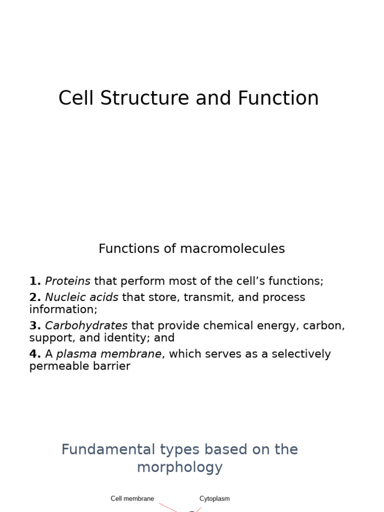 Cell Structure and Function Eb 2 | PDF | Endoplasmic Reticulum | Cell ...