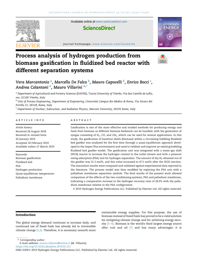 Hydrogen Production from Biomass Gasiﬁcation | PDF | Gasification | Biofuel