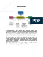 Neodarwinismo Teoría Sintética