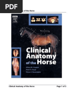 Download Clinical Anatomy of the Horse by Tom Roberts SN91063941 doc pdf