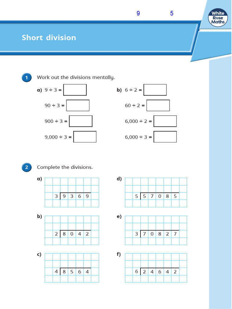 Short Division Practice Worksheet W09 | PDF