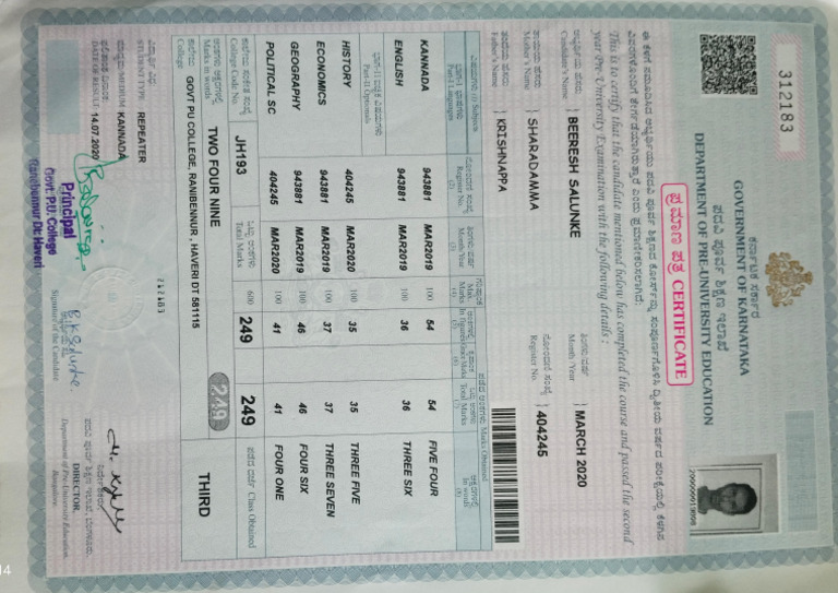 Puc Marks Card | PDF