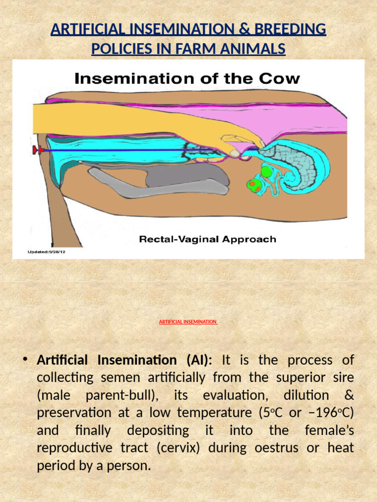 Artificial Insemination in Cattle Explained | PDF | Hybrid (Biology ...