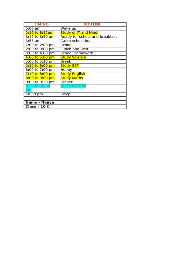 Daily Study Routine for Class 10 C | PDF