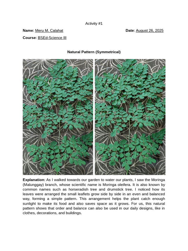 Meru - Natural Pattern (Symmetrical) | PDF