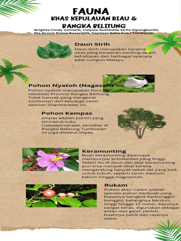 Pohon Rukem dan Nyatoh di Bangka Belitung | PDF