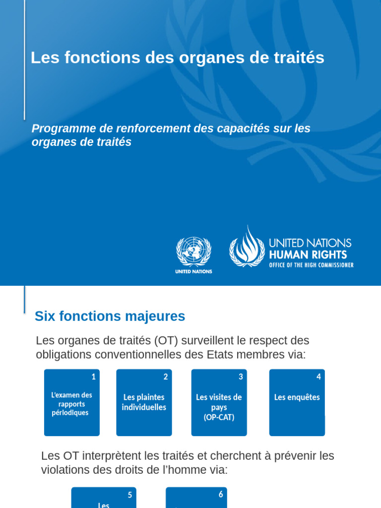 Renforcement des capacités des organes de traités | PDF | Torture ...