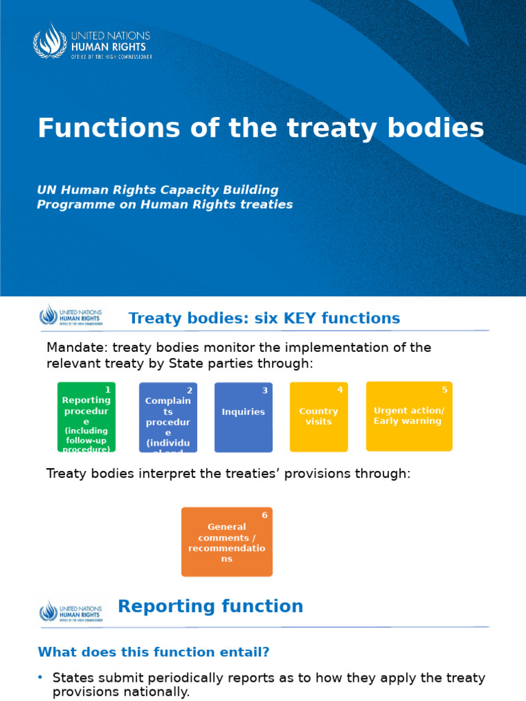 Key Functions of UN Treaty Bodies | PDF | Convention On The Rights Of ...