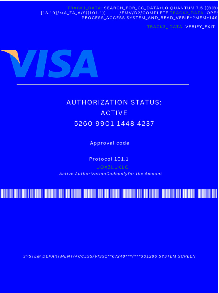 Visa Protocol 101.1 Transaction Details | PDF