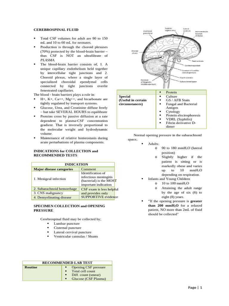 Cerebrospinal Fluid Analysis Guide | PDF | Cerebrospinal Fluid | Meningitis