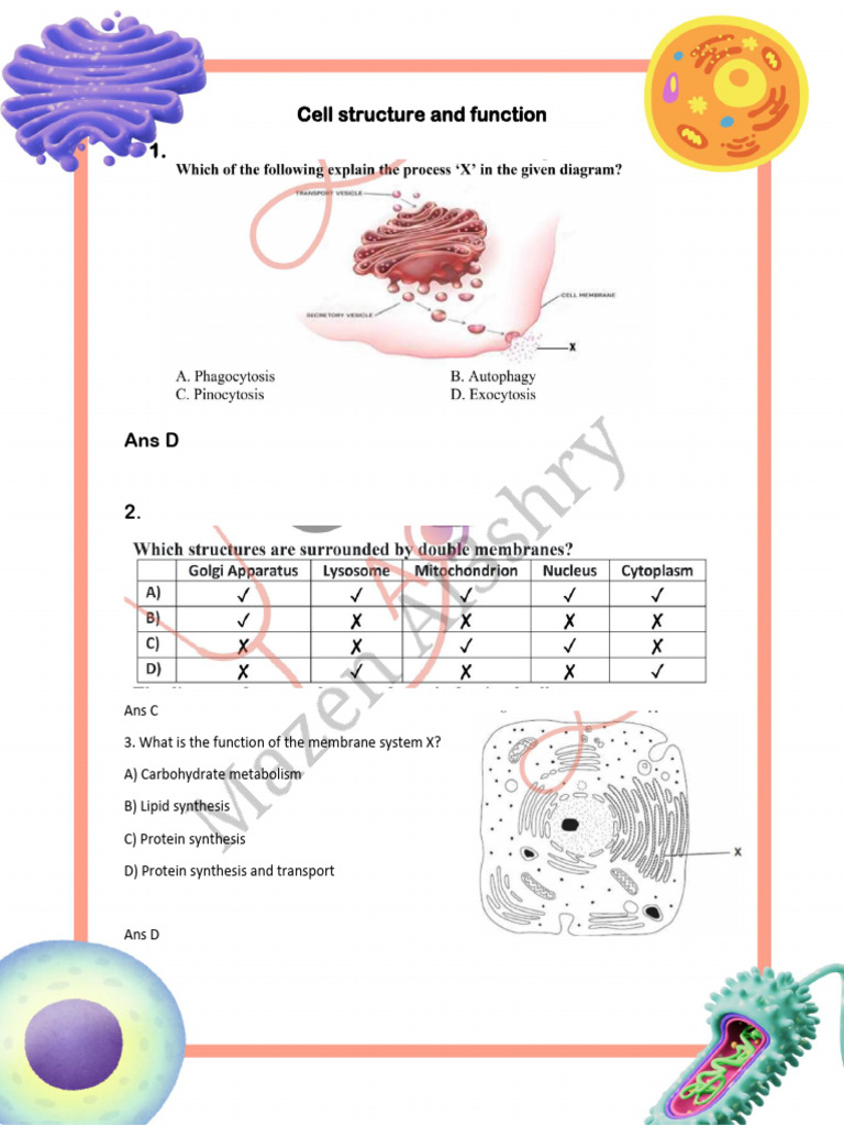 MCQ Cell Strucure and Function | PDF | Cell (Biology) | Endoplasmic ...